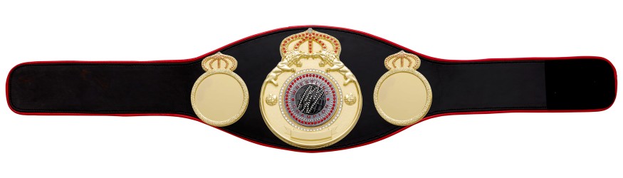 WRESTLING GEM CHAMPIONSHIP BELT PROLION/G/WRESTGEMS - AVAILABLE IN 6+ COLOURS WRESTLING GEM CHAMPIONSHIP BELT PROLION/G/WRESTGEMS - AVAILABLE IN 6+ COLOURS